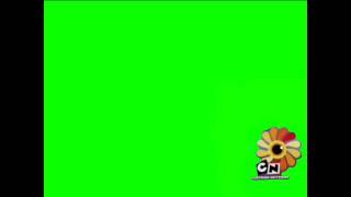 Cartoon Network Summer Screen Bug Template (2005, Version 1)