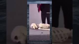 Skeleton#viral#funny #comedy#funnyshorts #trending