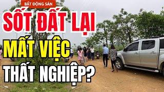 SỐT ĐẤT Trở Lại, Thất nghiệp mất việc
