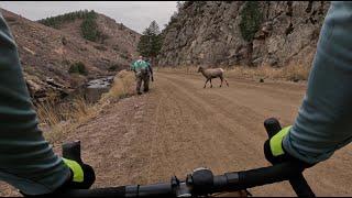 Waterton Canyon: Riding with Bighorn Sheep