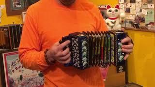 High quality 7 button diatonic accordion