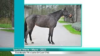 Special Maria