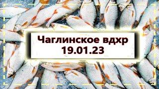 НАКОСИЛ РЫБЫ СТОЛЬКО ЧТО ЕЛЕ УНЁС\Чаглинское вдхр\Рыбалка в Казахстане