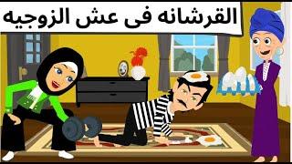 القرشانه فى عش الزوجية روعه