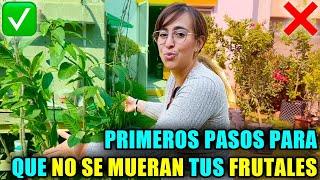  Las 5 PRIMERAS COSAS que Necesitas Hacer Cuando COMPRAS FRUTALES 