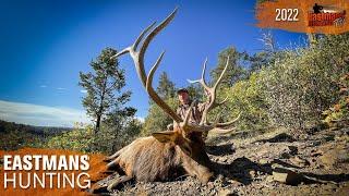 One shot DROP! Colorado Elk Hunt with Guy Eastman | Eastmans' Hunting TV