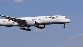 Lufthansa Airbus 350 Low Pass. LHBP