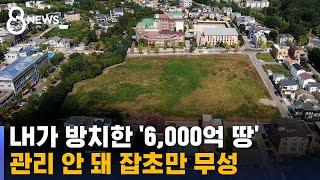 개발 무산된 곳에 잡초만…LH가 방치한 '6,000억 땅' / SBS