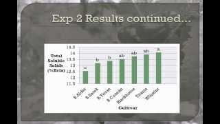 Characterization of Berry Quality of Ribes nigrum in Relation to Harvest Timing and Cultivar