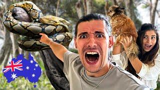 Brits Meet Their FIRST Python in Australia! 