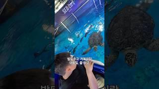아빠와아들 부산해운대 아쿠아리움 방문 Dad and son visit Busan Haeundae Aquarium #부산아들 #부산아재 #얼렁뚱땅 #아쿠아리움 #aquarium