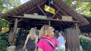 Kilimanjaro Safaris at Animal Kingdom - May 2023 - Walt Disney World Orlando, Florida