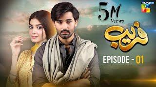 Fareb - Episode 01 - 7th May 2023 - [ Zain Baig, Zainab Shabbir , Maria Wasti ] HUM TV