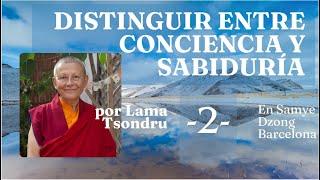 Distinguir entre Conciencia y Sabiduría  -2- Por Lama Tsondru