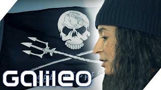 Green Heroes oder Meeres-Piraten? - Meeresschutzorganisation Sea Shepherd  | Galileo | ProSieben