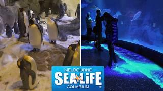 Visiting Sea Life Melbourne! | Awesome Aquarium Attraction | 2024 Vlog