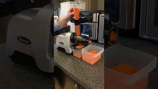 Omega Slow Juicer Works Awesome