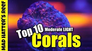 Top 10 Moderate LIGHT Corals