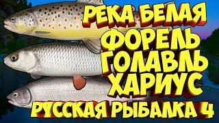 русская рыбалка 4 - Форель Хариус Голавль река Белая - рр4 фарм Алексей Майоров russian fishing 4