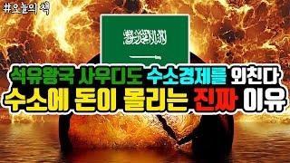 석유왕국 사우디도 수소경제를 외친다!! 수소에 돈이 몰리는 진짜 이유! (Feat. 암모니아 운송기술에 주목하라) [오늘의 책]