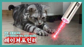 고양이 장난감으로 말도 많은 레이저포인터  한번 사봤습니다. I bought a cat toy, a LaserPointer