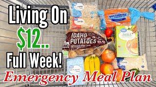 Eating on $12 a Week | Easy, Healthy & Cheap Recipes for an Emergency Budget