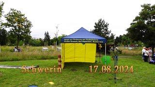 10 Jahre PlattenPark!  (Schwerin, 17/08/2024).