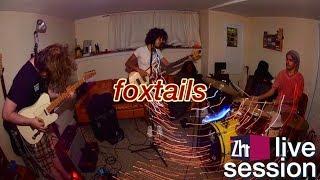 Foxtails - i experienced ego death on a skramcave thread/nde thread [ZH1 Sessions]