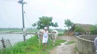 Ksr trust rnr sevadhal k.v. Ram Narasimha Reddy adsneal sp and cid officer in village akkenapally