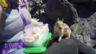 Mt. St. Helens Summit Climb July 2016