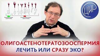 ОЛИГОастеноТЕРАТОЗООСПЕРМИЯ - лечить или ЭКО?  Морфология по Крюгеру. Отвечает доктор Гузов.