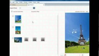 Picasa Training - Import Images into Picasa - Google Tools