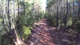 50 Acres Laurens, SC, Hunting, Timber, Stream, Suprer Cross Track