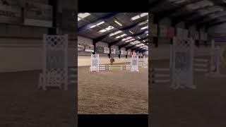 Fifi️ #edit #horseriding #pony #jingles #fifi #sad #sold #competion #showjumping #greenhorse