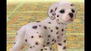 Nintendogs: Dalmatian & Friends Playthrough Part 1