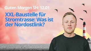 Guten Morgen SH: XXL-Baustelle für Stromtrasse: Was ist der Nordostlink?