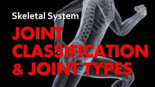 Joint Classifications and Types | Skeletal System 04 | Anatomy & Physiology