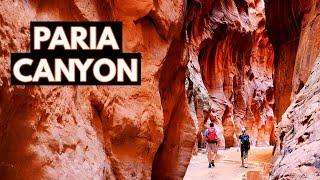 The Entire Paria Canyon to Buckskin Gulch (15 Miles Hiking)