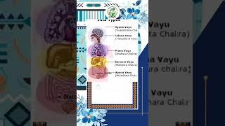 Vata - Ayurvedic Body Type | Mukti Pharmaceuticals