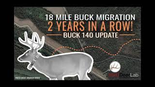 18 Mile Buck Migration...AGAIN! Buck 140 Update