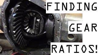 How to find axle gear ratio