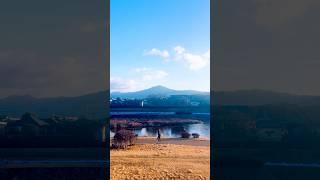 A winter dawn and an encounter with wild deer #kyoto #winter #travel #animal #people #japan