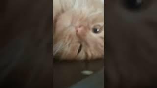 у курского вокзалу #shorts #shortsvideo #newvideo #youtube