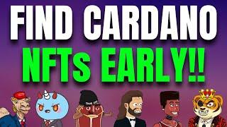 Cardano NFTs: How To Find Projects Early (BEGINNERS GUIDE) 