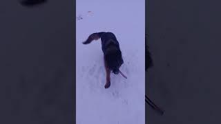 Учимся думать)