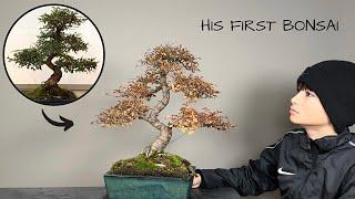 my son's first chin. Elm Bonsai, he's doing really well