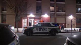 Young boy and his mother found dead inside Brooklyn apartment: police sources