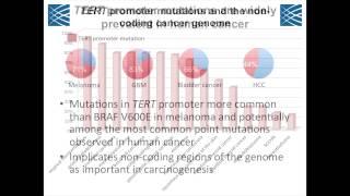 TERT Promoter Mutations in Cancer