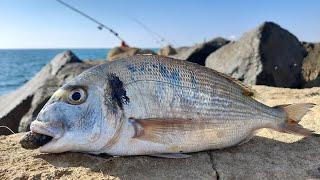 PESCA ALL'ORATA CON QUALUNQUE CANNA