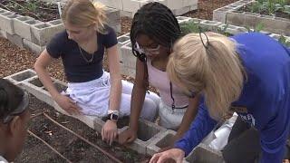 Home Grown: BEAM volunteers are teaching students living in food desert how to grow their own food